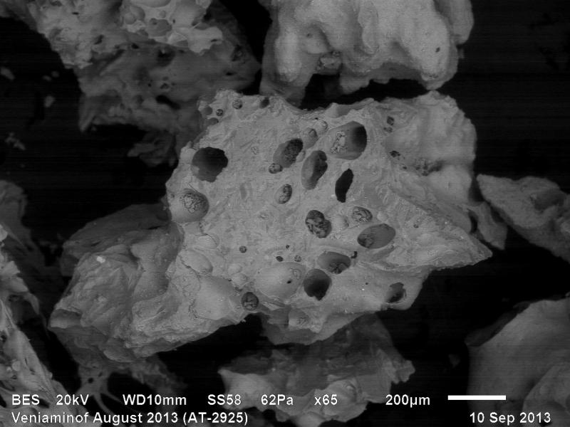 Backscattered electron image of ash erupted from Veniaminof volcano, collected near the vent on August 18, 2013 by AVO staff Game McGimsey. The ash is composed almost exclusively of juvenile vesicular and blocky glassy particles.  Microlites are visible in some glass shards.  