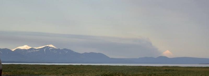 Pavlof's eruption plume, 7:44 am June 2, 2014, as seen from Port Moller (about 50 miles northeast of the volcano). Photo courtesy of Lee Anne McDermott.