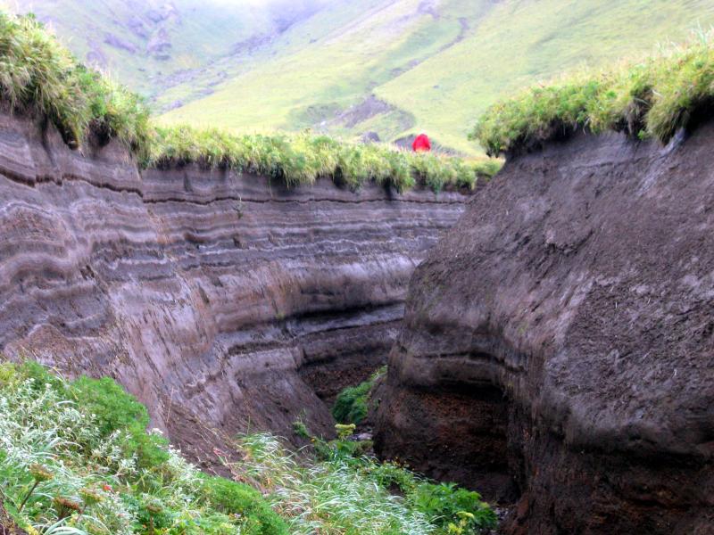 Abundant tephras (ashes) exposed in gully near station 05SMJL007, southeast quadrant of Semisopochnoi Island. 