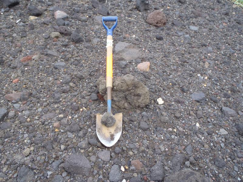 Recent cauliflower or breadcrust bomb from Cleveland volcano, collected on the surface on the lower north flank.  Photo taken during the 2014 field season of the Islands of Four Mountains multidisciplinary project, work funded by the National Science Foundation, the USGS/AVO, and the Keck Geology Consortium.