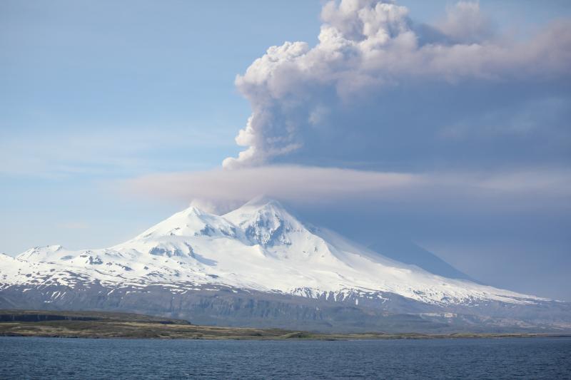 Pavlof in eruption, 2014. Photo courtesy of William Yi, USCG.