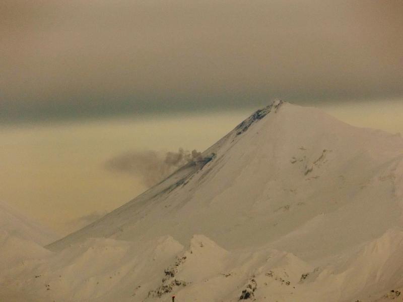 Pavlof volcano emits a tiny puff of ash and steam on November 29, 2014.  Photo taken and shared by Royce Snapp.  