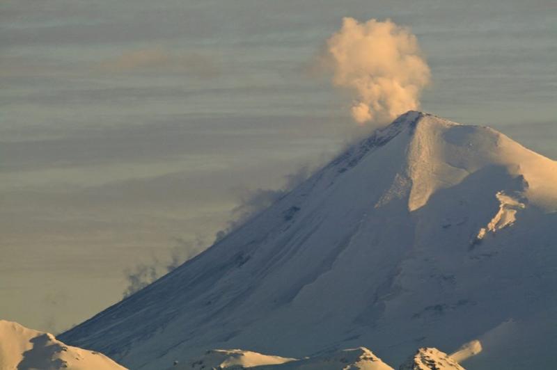 Pavlof Volcano, December 5, 2014. Photo courtesy of Royce Snapp.