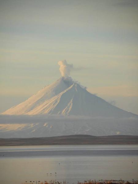 Pavlof volcano steaming, as viewed from Nelson Lagoon, December 5, 2014. Photo courtesy of Merle Brandell.