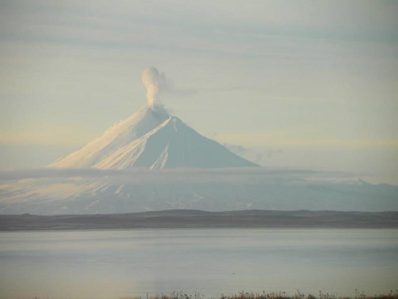 Pavlof volcano steaming, as viewed from Nelson Lagoon, December 5, 2014. Photo courtesy of Merle Brandell.