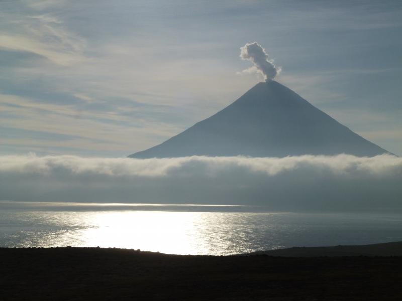 Healthy steam and gas plume rising from the summit crater of Cleveland. Photographs from fieldwork in the Islands of Four Mountains, July and August 2014.