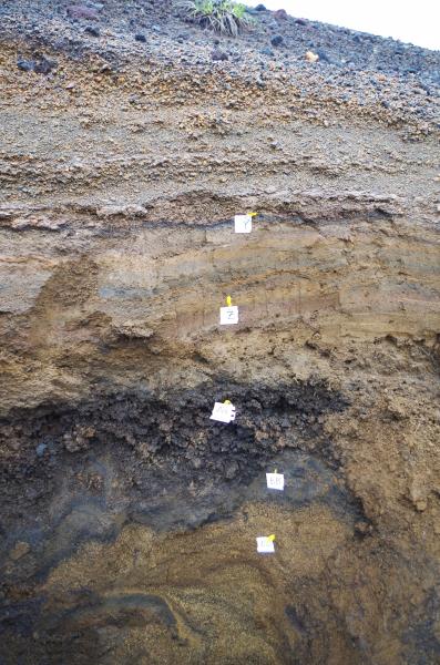Lower portion of a long tephra deposit sequence at the southeast base of Cleveland volcano, sampled and described during field investigations in 2014.  