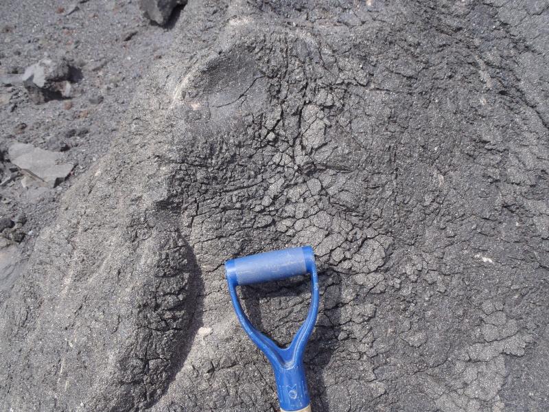 Breadcrust bomb in pyroclastic avalanche deposit southeast flank Cleveland volcano. Photo taken during the 2014 field season of the Islands of Four Mountains multidisciplinary project, work funded by the National Science Foundation, the USGS/AVO, and the Keck Geology Consortium.
