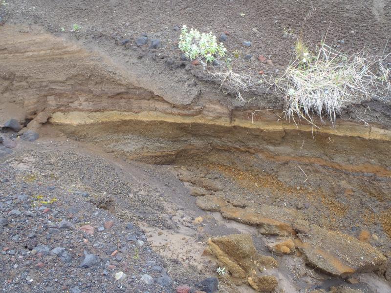 Portion of a long tephra section on the east low flank of Cleveland. Prominent light colored unit is the informally named &#039;Neopolitan ash&#039;. 14CLCN011. Photo taken during the 2014 field season of the Islands of Four Mountains multidisciplinary project, work funded by the National Science Foundation, the USGS/AVO, and the Keck Geology Consortium.