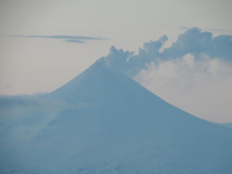 Shishaldin with steam and minor ash plume, May 7, 2015, looking north, as viewed from a ship south of Shishaldin. Photo courtesy of Allan and Kathy Lowe. 