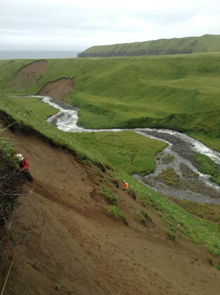 USGS geologist, Jim Vallance, and AVO/UAF geologist, Jessica Larsen, investigate ash fall and pyroclastic flow deposits in Waterfall Valley, on the north flank of Makushin volcano.