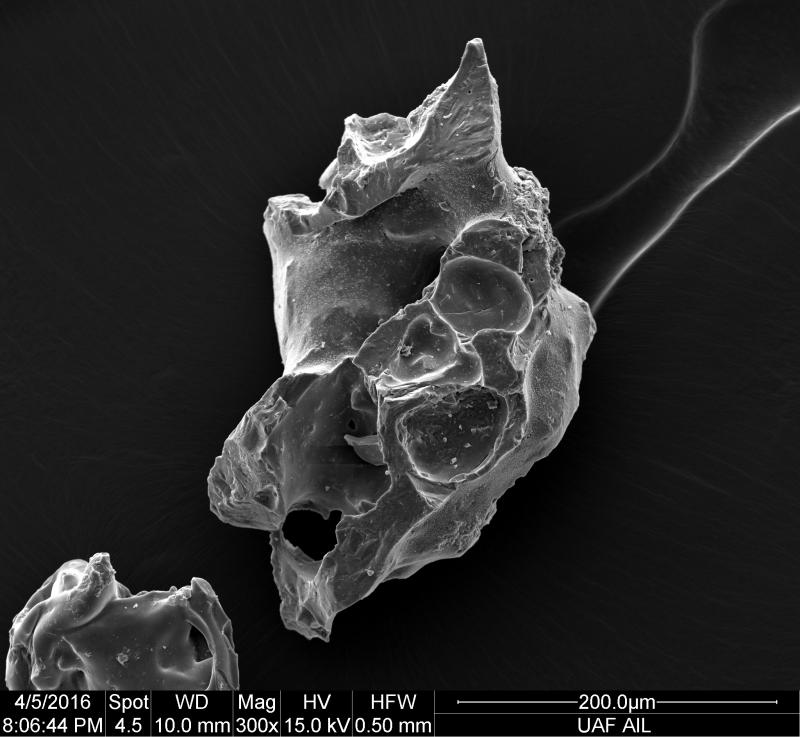 SEM image of a volcanic ash particle from the March 28, 2016 eruption of Pavlof Volcano. The sample was collected by Allan Brandell of Nelson Lagoon, Alaska.