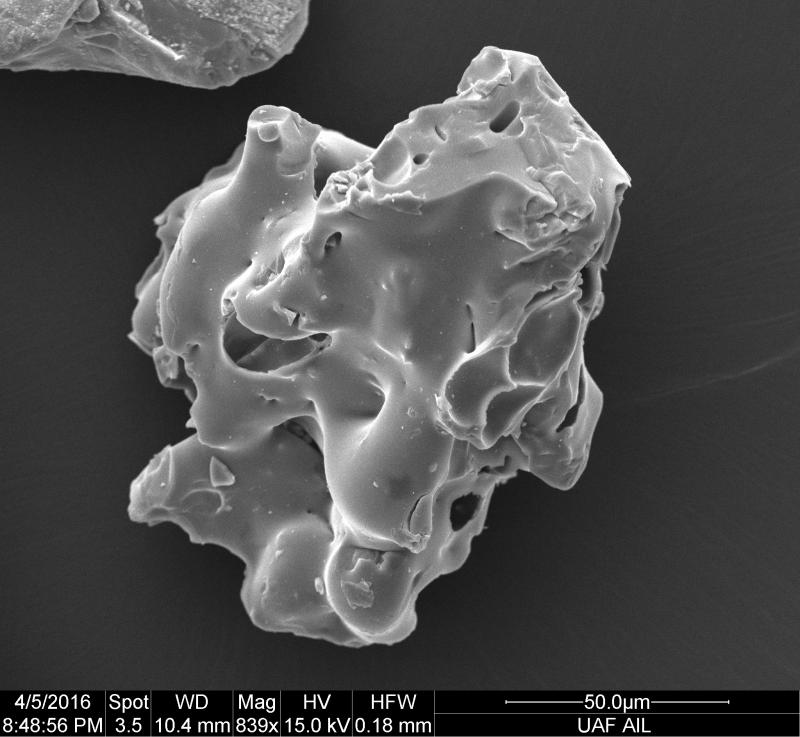 SEM image of a volcanic ash particle from the March 28, 2016 eruption of Pavlof Volcano. The sample was collected by Allan Brandell of Nelson Lagoon, Alaska. The sample was cleaned in ultrasonic bath to remove fine ash particles and improve image quality.