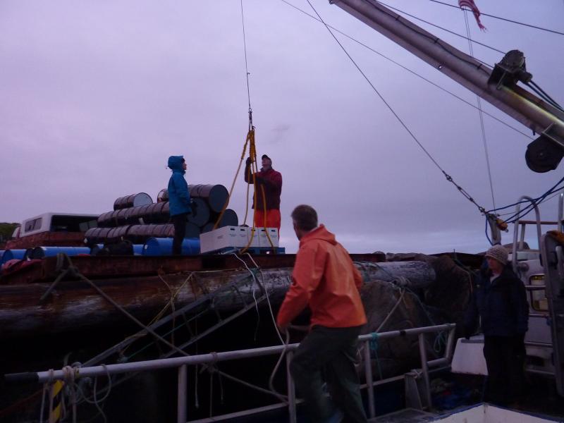 Okmok field operations 2016:  Unloading gear at the dock on Umnak Island.