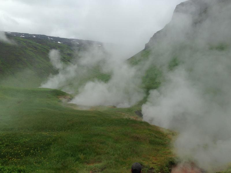 View of steaming ground in the Geyser Bight geothermal area on the flank of Mount Recheshnoi, Umnak Island.