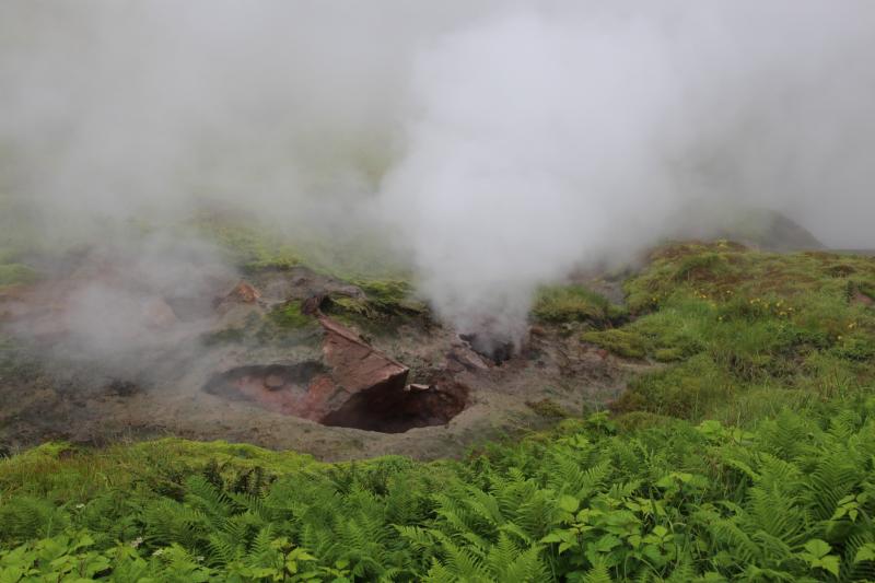 Example of one of many degassing vents found within the Geyser Bight geothermal region.