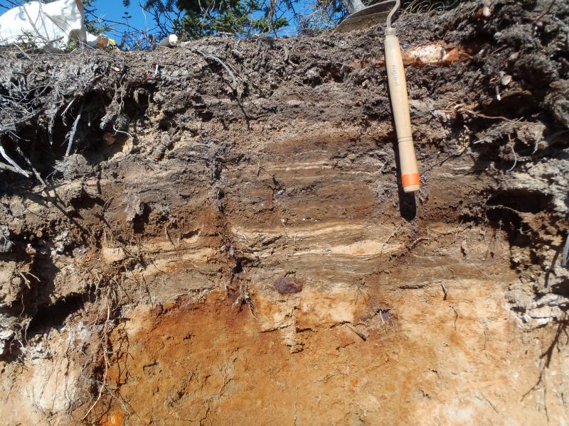 Outcrop of tephra-fall sequence overlying a 3600 yr BP mud flow from Redoubt.  Photo from field station 16RDKLW003 on the Cook Inlet coast near the mouth of the Crescent River and Polly Creek.