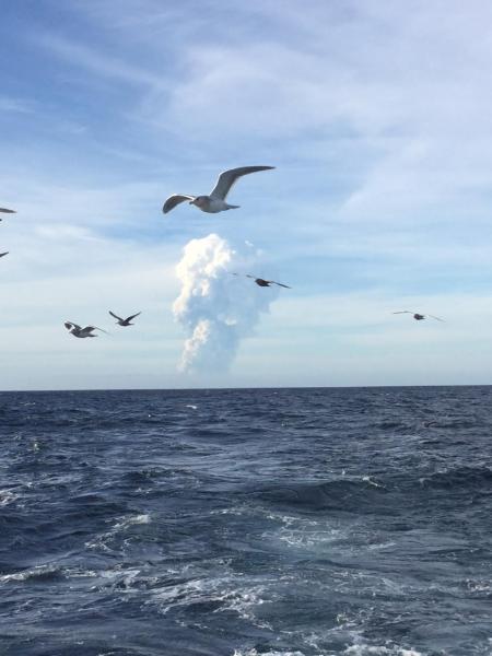Photograph of plume from Bogoslof Volcano, January 5, 2017. Photo courtesy of Trever Shaishnikoff.