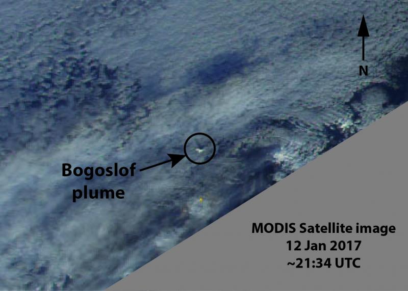 A small eruption plume from the January 12 explosion at Bogoslof volcano punches through the ~12,000 ft asl cloud deck as seen in this MODIS satellite image.  Note the shadow of the plume on the cloud top to the northwest.