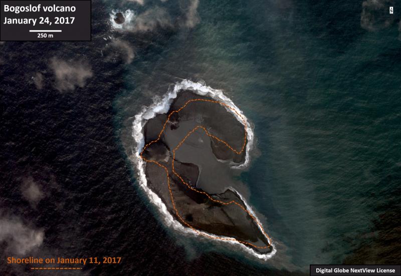 Analysis of shoreline changes at Bogoslof volcano due to eruptive activity between January 11 and 24, 2017. The base image is a Worldview-2 satellite image collected on January 24, 2017. The approximate location of the shoreline on January 11, 2017 is shown by the dashed orange line.