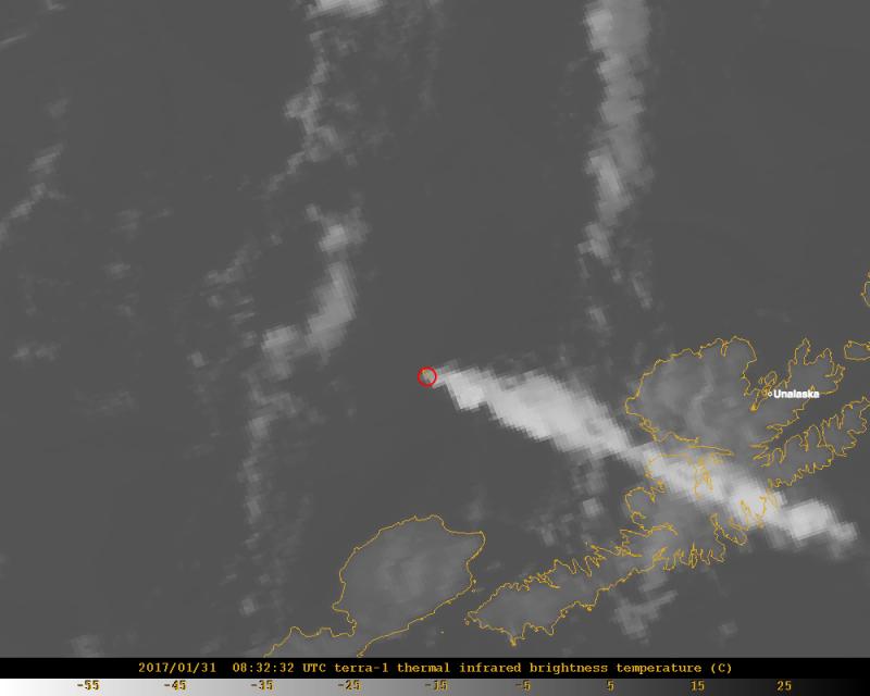 MODIS satellite image from 11:32 pm 30 Jan 2017 AKST (08:32 am 31 Jan 2017 UTC)  shows a continuous plume extending over Unalaska Island, from Bogoslof volcano (red circle).