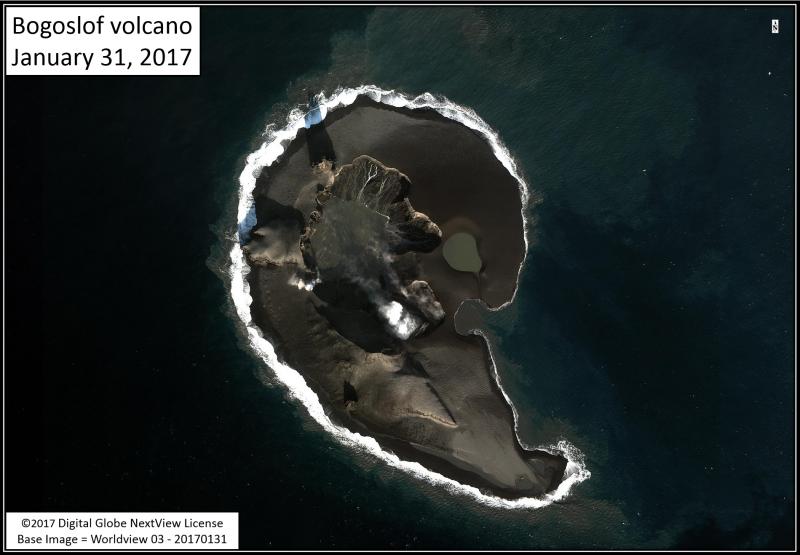 Satellite image of Bogoslof volcano collected on 31 January 2017 showing the significant changes at Bogoslof Island following the eruption during the night of 30 to 31 January. Freshly erupted volcanic rock and ash have formed a barrier that separates the vent from the sea. This is the first time this has been observed since the eruptive sequence began in mid-December 2016. The vent is below sea level, and erosion of the ash deposits by wave or eruptive processes would allow sea water to flow into the vent again.