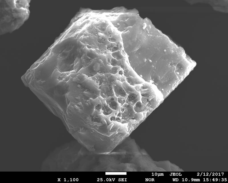 SEM image of volcanic ash from January 31, 2017 eruption of Bogoslof Volcano. This is a plagioclase crystal with a thin coat of vesicular glass on top of it. The sample was collected in Dutch Harbor, ca. 60 miles to the east from the volcano by Ginny Hatfield. SEM image was acquired using JEOL JXA-8530f electron microprobe at the Advanced Instrumentation Laboratory of the University of Alaska Fairbanks. 


