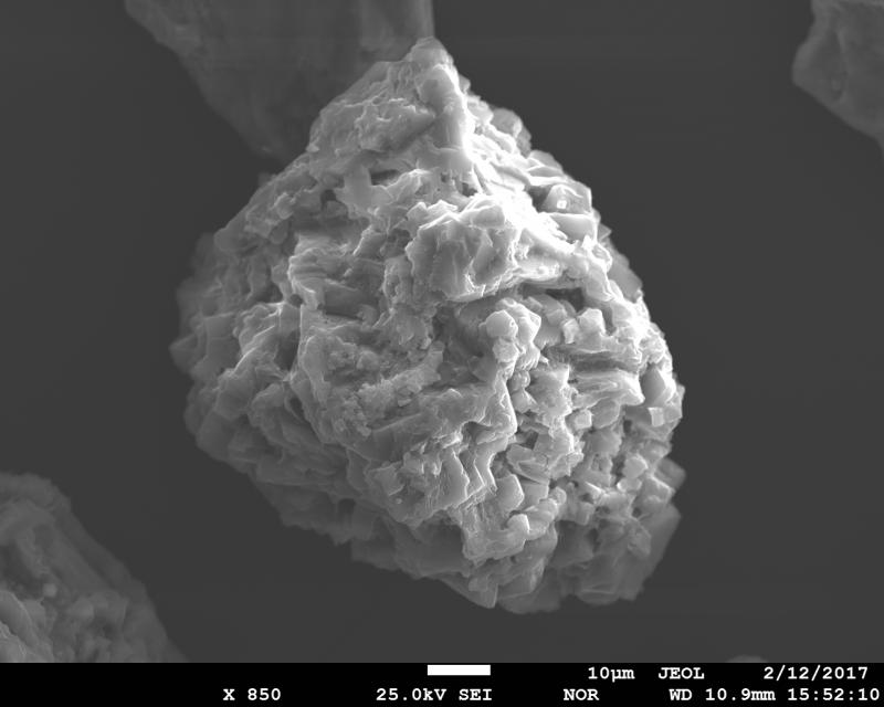 SEM image of volcanic ash from January 31, 2017 eruption of Bogoslof Volcano. This is a vesicular, crystal-rich ash particle. The sample was collected in Dutch Harbor, ca. 60 miles to the east from the volcano by Ginny Hatfield. SEM image was acquired using JEOL JXA-8530f electron microprobe at the Advanced Instrumentation Laboratory of the University of Alaska Fairbanks. 