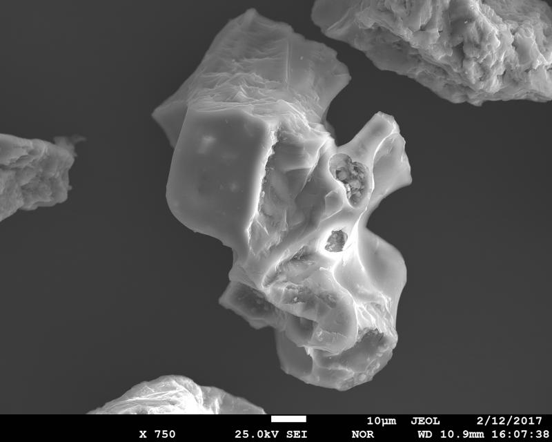 SEM image of volcanic ash from January 31, 2017 eruption of Bogoslof Volcano. This  ash particle is comprised of plagioclase crystal and vesicular glass. The sample was collected in Dutch Harbor, ca. 60 miles to the east from the volcano by Ginny Hatfield. SEM image was acquired using JEOL JXA-8530f electron microprobe at the Advanced Instrumentation Laboratory of the University of Alaska Fairbanks. 