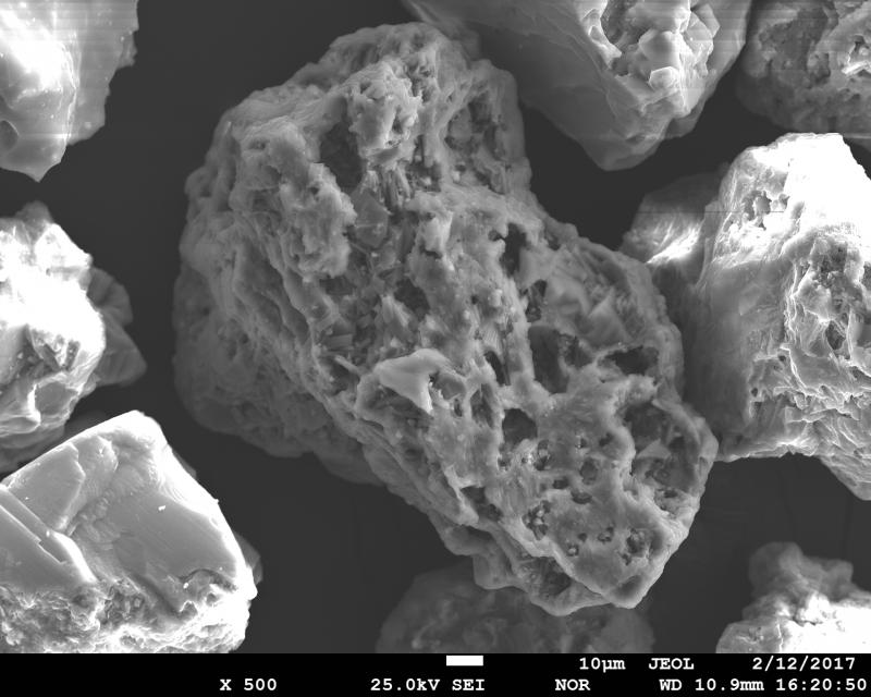 SEM image of volcanic ash from January 31, 2017 eruption of Bogoslof Volcano. This is a vesicular, crystal-rich ash particle. The sample was collected in Dutch Harbor, ca. 60 miles to the east from the volcano by Ginny Hatfield. SEM image was acquired using JEOL JXA-8530f electron microprobe at the Advanced Instrumentation Laboratory of the University of Alaska Fairbanks.