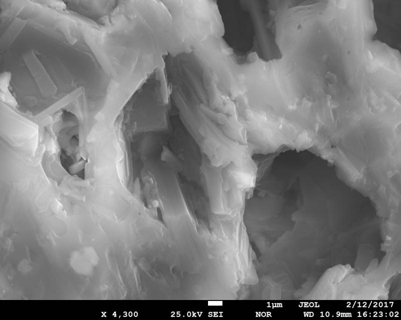 SEM image of volcanic ash from January 31, 2017 eruption of Bogoslof Volcano. This is an expanded view of vesicles of the crystal-rich ash particle shown on image #104971. The sample was collected in Dutch Harbor, ca. 60 miles to the east from the volcano by Ginny Hatfield. SEM image was acquired using JEOL JXA-8530f electron microprobe at the Advanced Instrumentation Laboratory of the University of Alaska Fairbanks. 


 