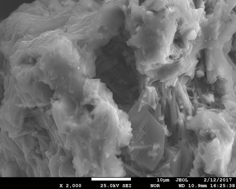 SEM image of volcanic ash from January 31, 2017 eruption of Bogoslof Volcano. This is an expanded view of vesicles of the crystal-rich ash particle shown on image #104971. The sample was collected in Dutch Harbor, ca. 60 miles to the east from the volcano by Ginny Hatfield. SEM image was acquired using JEOL JXA-8530f electron microprobe at the Advanced Instrumentation Laboratory of the University of Alaska Fairbanks. 