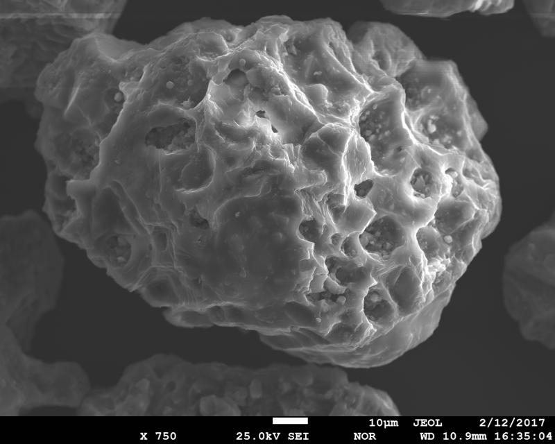 SEM image of volcanic ash from January 31, 2017 eruption of Bogoslof Volcano. This is a vesicular, glassy ash particle. The sample was collected in Dutch Harbor, ca. 60 miles to the east from the volcano by Ginny Hatfield. SEM image was acquired using JEOL JXA-8530f electron microprobe at the Advanced Instrumentation Laboratory of the University of Alaska Fairbanks. 