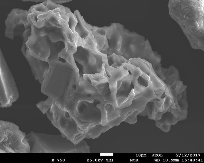 SEM image of volcanic ash from January 31, 2017 eruption of Bogoslof Volcano. This is a vesicular, glassy ash particle. The sample was collected in Dutch Harbor, ca. 60 miles to the east from the volcano by Ginny Hatfield. SEM image was acquired using JEOL JXA-8530f electron microprobe at the Advanced Instrumentation Laboratory of the University of Alaska Fairbanks. 
