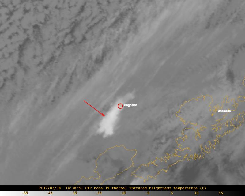 Thermal infrared satellite image from 14:36 UTC (5:36 am AKST) showing the volcanic cloud produced by an eruption of Bogoslof volcano that began around 14:00 UTC. The cloud extends for about 35 km (21 miles) towards the southwest at an altitude of about 25,000 ft (7.6 km) above sea level. 