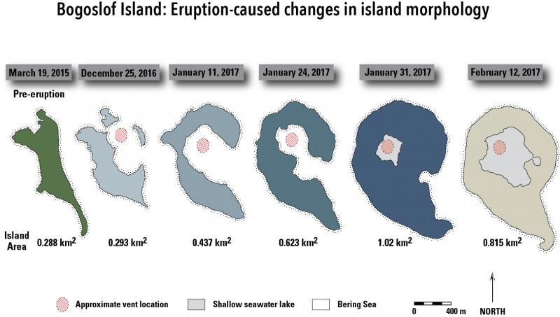 Changes in the configuration of Bogoslof Island resulting from the ongoing 2016-17 eruption. The January 30-31, 2017 eruptive activity generated roughly 0.4 square kilometers of new land and as of January 31, 2017, the island area was 1.02 square kilometers, roughly three times the size of the pre-eruption island. Since then the area of the island has declined slightly due to wave erosion and expansion of the shallow seawater lake in the middle of the island. Eruptive activity since January 31 does not appear to have contributed much if any new pyroclastic fall and flow (surge) deposits to the island. If no new eruptive material is added to the island, wave action will begin to gradually erode the outer coastline.