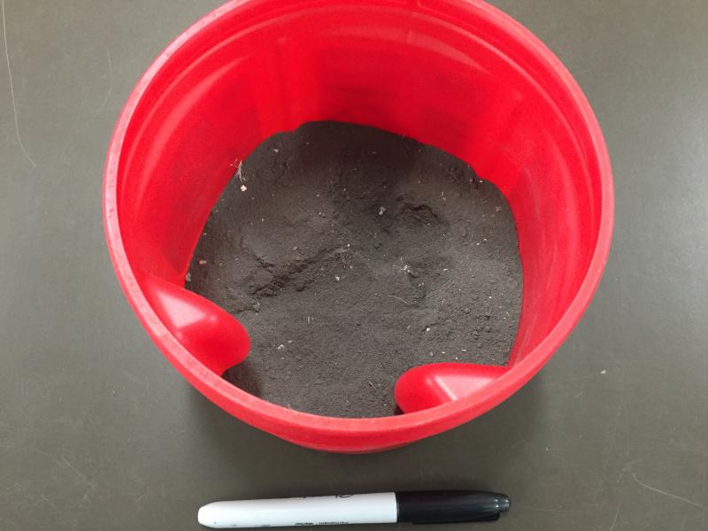 Sample of volcanic ash from Bogoslof volcano on March 8, 2017 (Event # 36) collected by Trevor Shaishnikoff of Unalaska, AK.  The ash was collected from the roof of the wheel house of the boat he was on near Cape Kovrizhka when the ashfall occurred at about 05:30 AM AKST.