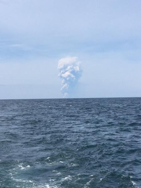Bogoslof May 28, 2017 eruption plume, as viewed from about 32 miles away. Photo courtesy of Trever Shaishnikoff.