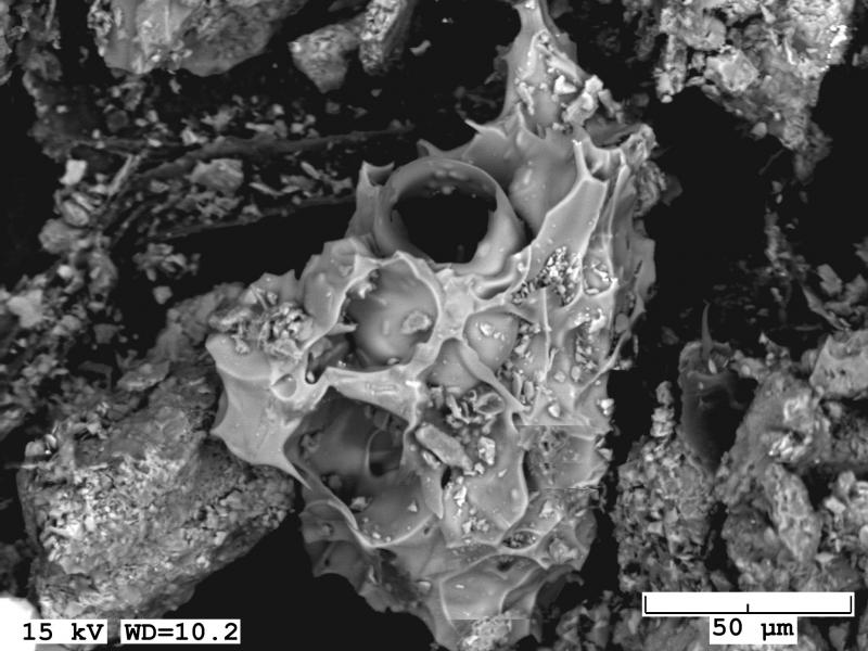Backscatter electron image of a glass shard deposited in Kodiak, AK, during a resuspension event from Valley of Ten Thousand Smokes (Katmai region) on November 12, 2017. Overall sample contains only minor amounts of volcanic ash. Sample provided by Stephen Bodnar. 