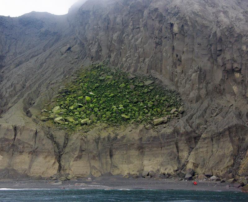 Whiskey talus on Kasatochi island.  Scientists (in red on beach) provide scale.