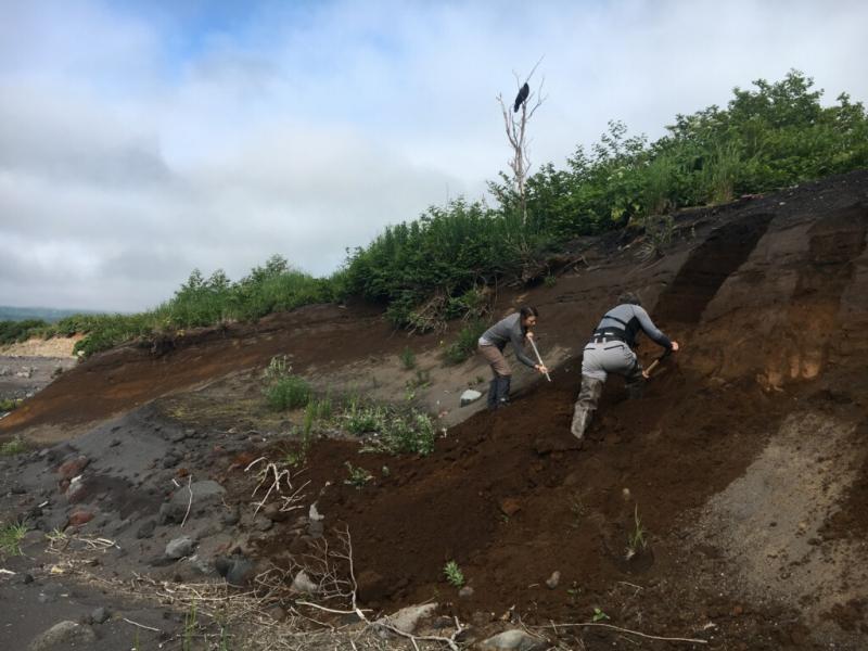 AVO geologists Katie Mulliken (DGGS) and Pavel Izbekov (UAF/GI) investigate tephra deposits from Pavlof volcano under the watchful eye of a raven.