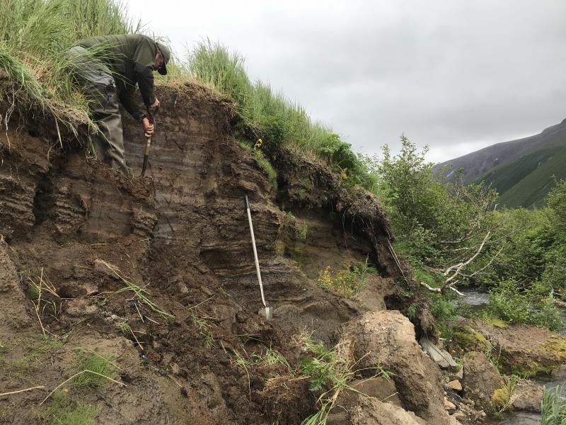 Pavel Izbekov works to expose more of a section during tephrostratigraphic work at Pavlof Volcano, July 2018. This section (station 18IPE11) is located approximately 15 km due west of Pavlof, in the Cathedral River Valley.