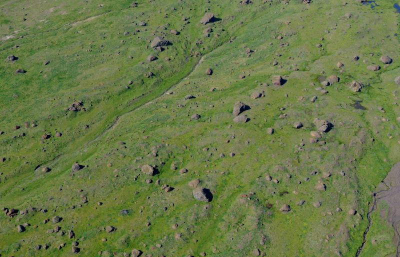 Holocene debris avalanch deposit on the west flank of Shishaldin.