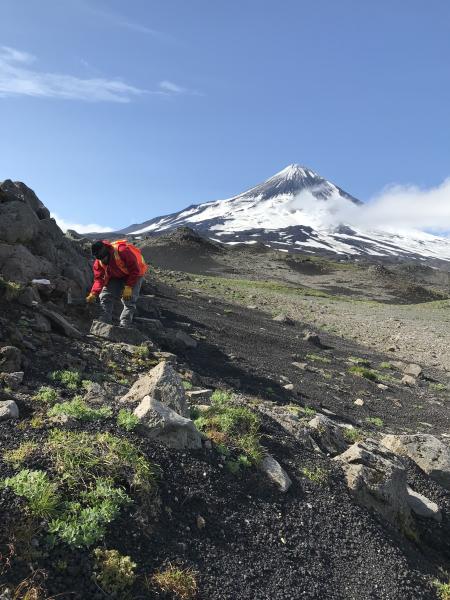 USGS/AVO geologist Matt Loewen samples a pleistocene-aged lava flow at station 18MLSH045 on the south flank of Shishaldin as part of Shishaldin geology fieldwork, August 2018.