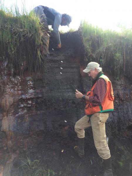 Chris Waythomas (USGS/AVO) and Pavel Izbekov (UAF/AVO) at weepy peat section 18IPE16, ~20 km NW of Pavlof. Here, there are a number of black scoriaceous lapilli tephra in the upper half of the section and only one or two in the lower half of the section. 