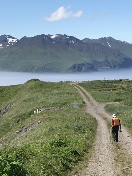 View to the west of Wide Bay Cone from north of Ballyhoo, northeast Unalaska Island.  Jim Vallance (USGS) in photo.  Makushin geology fieldwork, July 4, 2018.  
