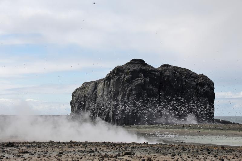 Day 1 of Bogoslof field work in August 2018. 1926-27 dome with west lake and nearby fumaroles in foreground and steaming from near-boiling lake visible in background.