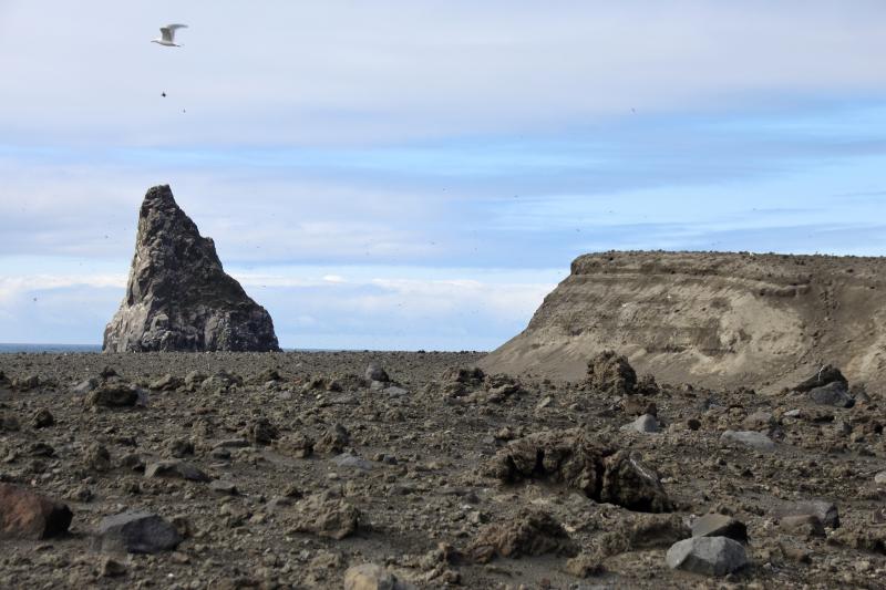 Day 1 of Bogoslof field work in August 2018. 1992 dome and highest cliffs of north northern shelf viewed from atop north northern shelf.