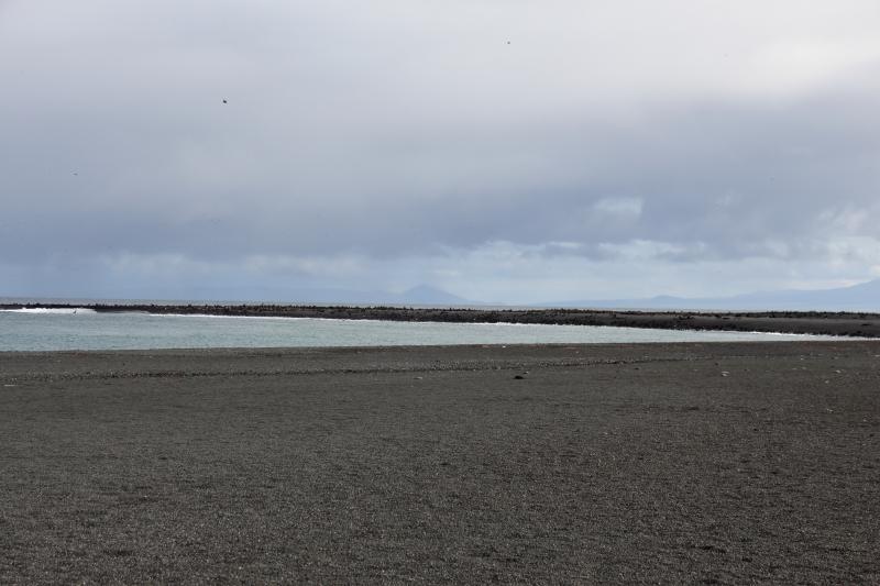 Day 1 of Bogoslof field work in August 2018. Eastern beach and south beach point viewed from northeastern beach.