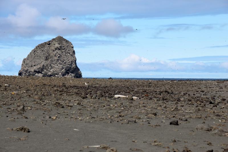 Day 2 of Bogoslof field work. Debris on northwestern beach near northern shelf cliffs. Fire Island on left. View facing west.